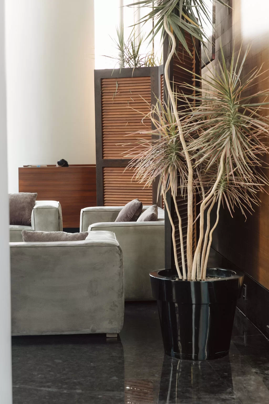 Park Life Santa Fe Siroco - CDMX - Galeria | Park Life